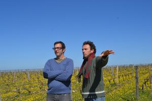 Vendée, Vinibee, vin bio, naturel, Pierre-Hugues Chevalier