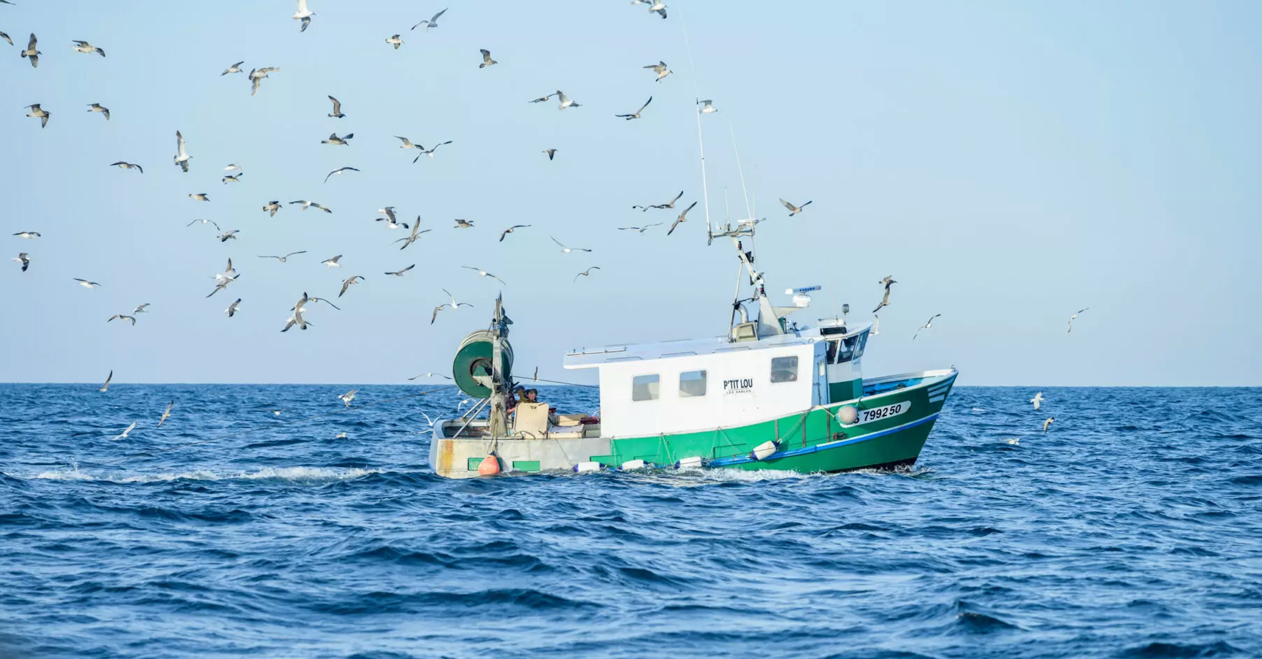 L'un des 373 navires de la flotille ligérienne.