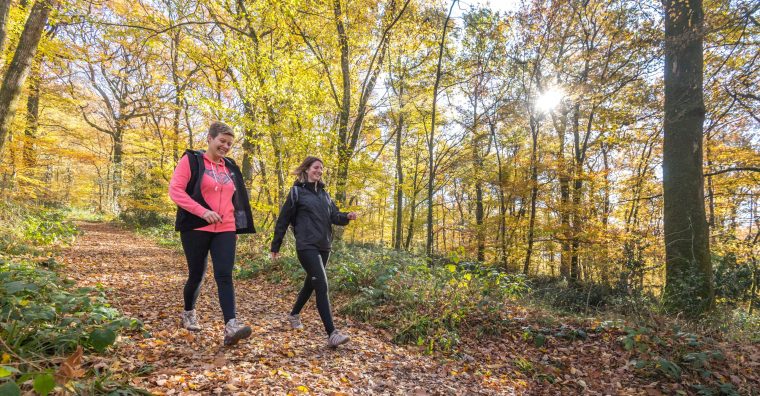 Des personnes se promenant dans une forêt