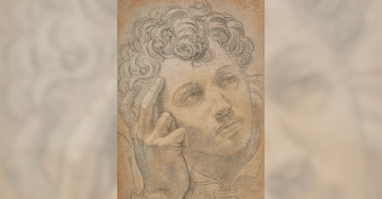 Illustration de l'article 3,1 millions d’euros pour un dessin de la Renaissance trouvé dans le vignoble