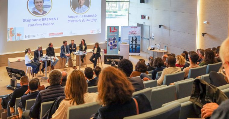 Illustration de l'article L’art du puzzle : l’interprofession dessine une nouvelle manière d’accompagner les dirigeants