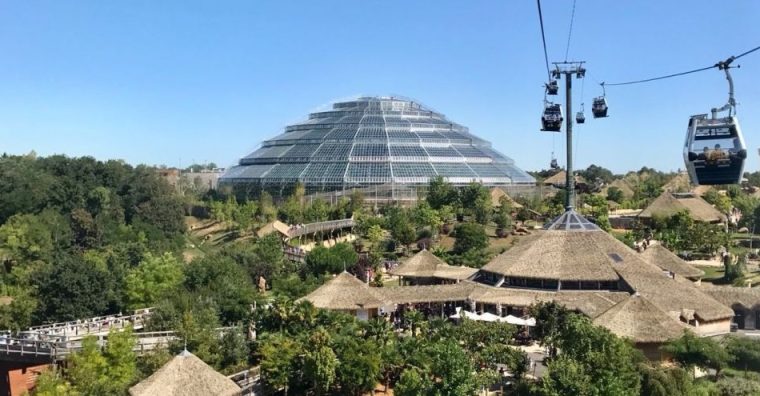 La société CMF a notamment conçu et réalisé le plus grand dôme bioclimatique de France pour le zoo de Beauval.