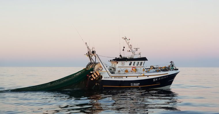 Illustration de l'article Nouveau cap collectif pour mieux armer la filière pêche