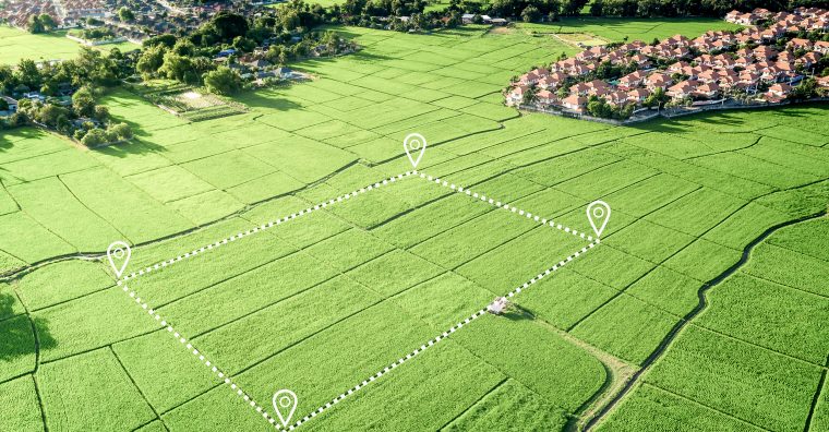 Illustration de l'article ZAN, élevage, égalité : le Ceser passe au crible les politiques régionales