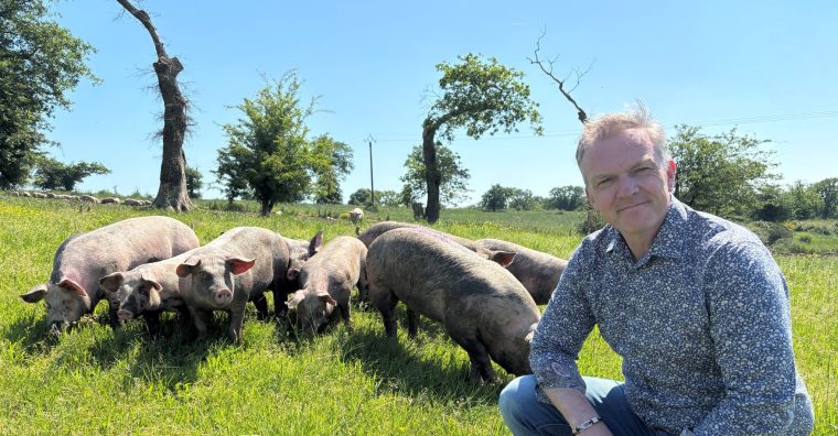 Illustration de l'article Maison Giffaud reprend la marque Tradition de Vendée