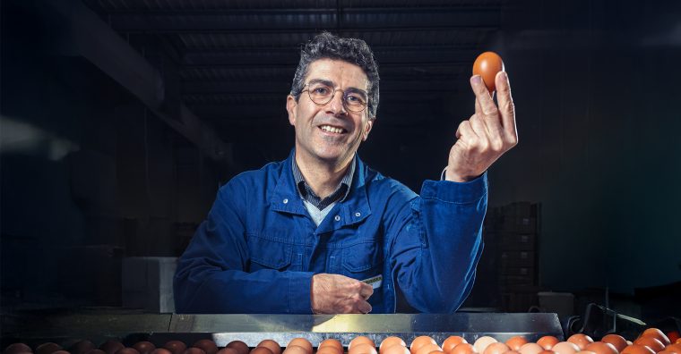 Illustration de l'article Benoît Geslin, président des Œufs Geslin : « L’œuf, au cœur des enjeux d’autosuffisance alimentaire »