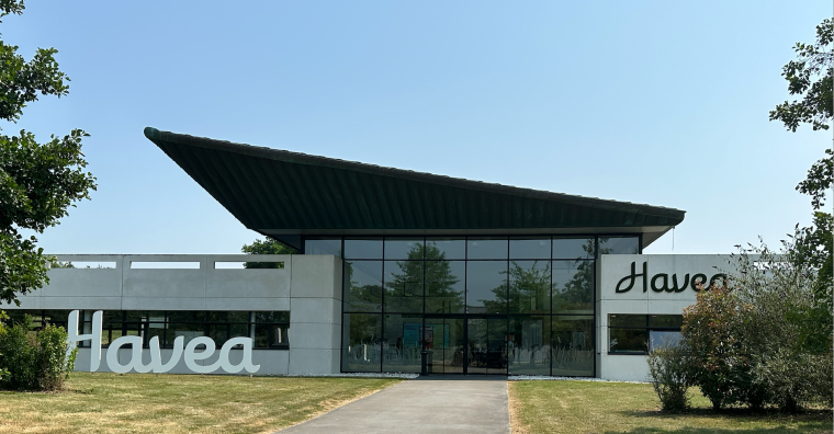 Illustration de l'article Havea mise sur le marché américain pour accélérer sa croissance