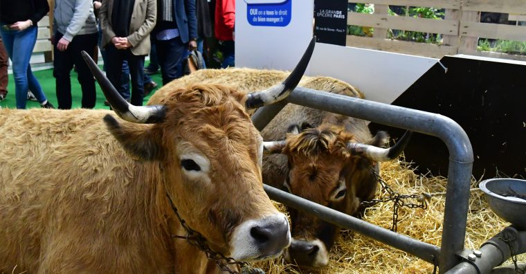 Illustration de l'article La Vendée valorise sa filière agricole au Salon de l’agriculture