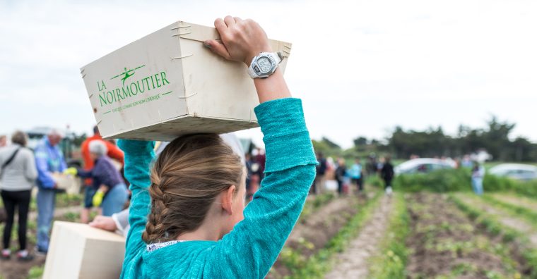 Illustration de l'article Sous la pression des stocks européens, La Noirmoutier lance sa saison 2026