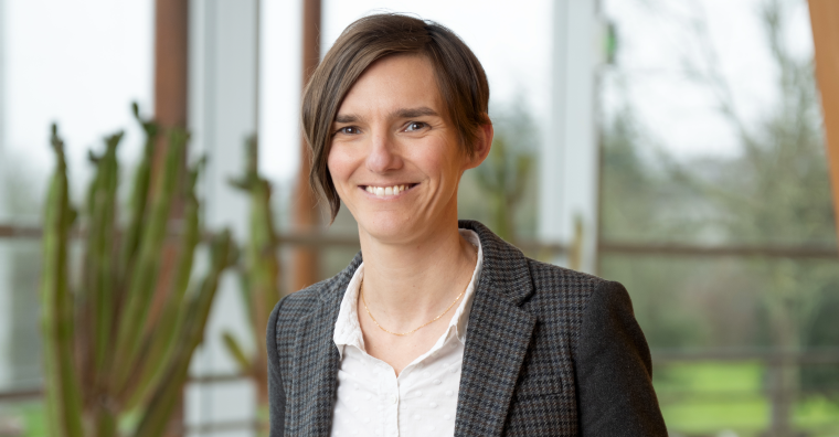 Illustration de l'article Aurélie Tricoire prend la direction de l’École supérieure du bois