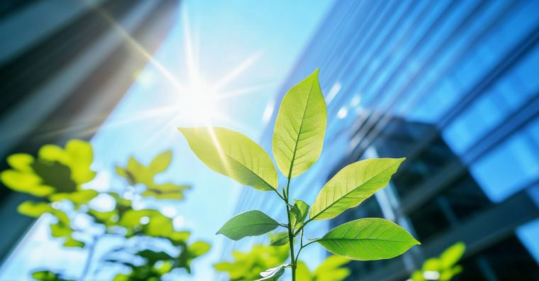 Illustration de l'article Comment concilier transition écologique et rentabilité