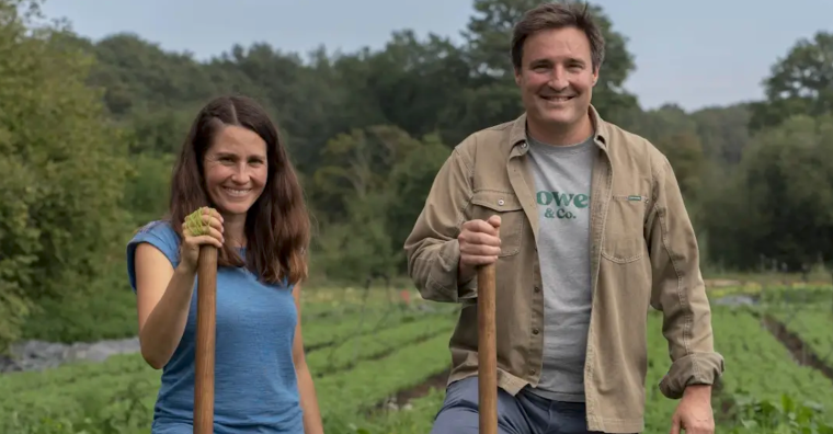 Illustration de l'article Un appel à candidatures pour enrayer le recul des fermes bio