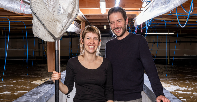 Illustration de l'article Lisaqua lève 14,5 millions d&rsquo;euros pour accélérer l’élevage durable de crevettes