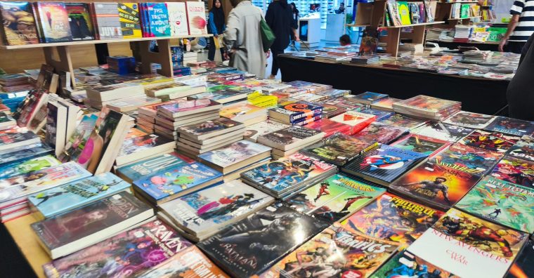 Illustration de l'article BDFest : la bande dessinée fait son festival à La Roche-sur-Yon