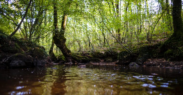 Illustration de l'article La Région engage 5 millions d’euros pour sécuriser la ressource en eau
