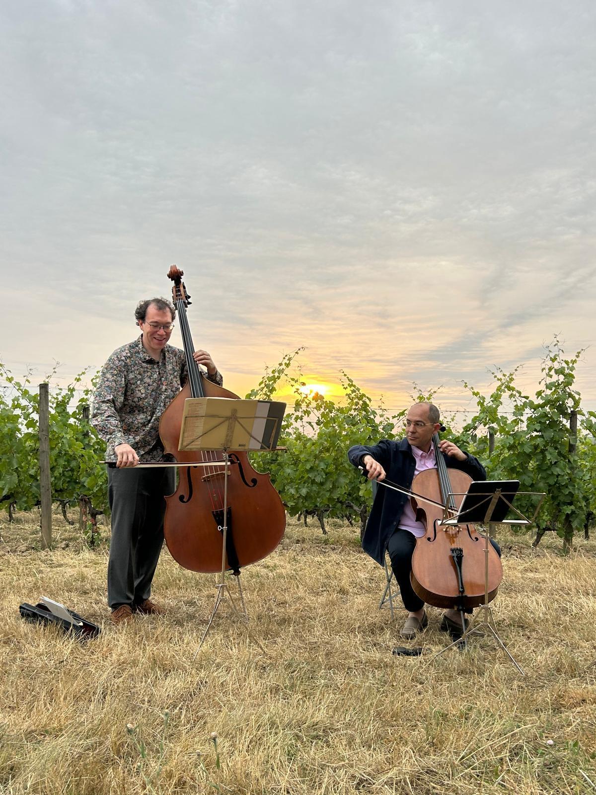Musique dans les vignes Savennières (49)