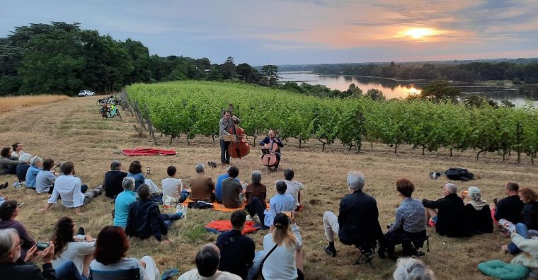 Illustration de l'article À Savennières, les vignes font leur musique