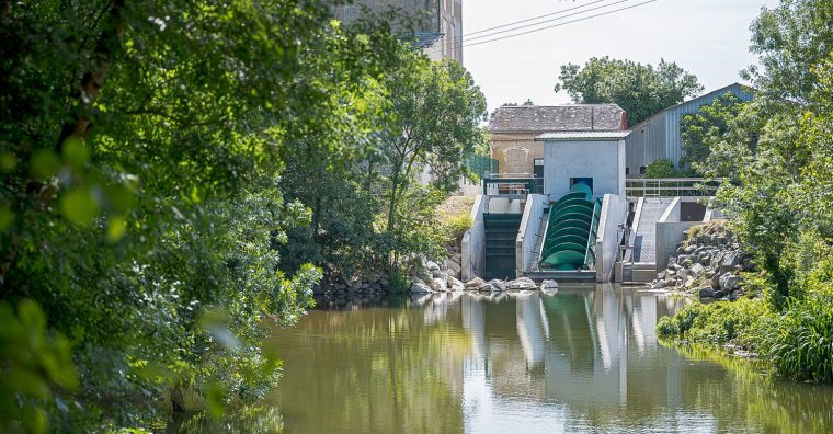 Illustration de l'article Dans le Marais poitevin, l’eau se met au courant