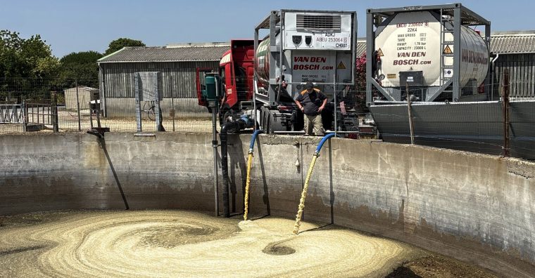 Illustration de l'article Au Hellfest, les biodéchets se transforment en gaz vert