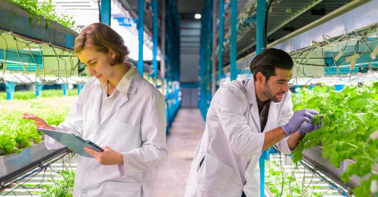 Illustration de l'article Agroalimentaire : le modèle reste à réinventer